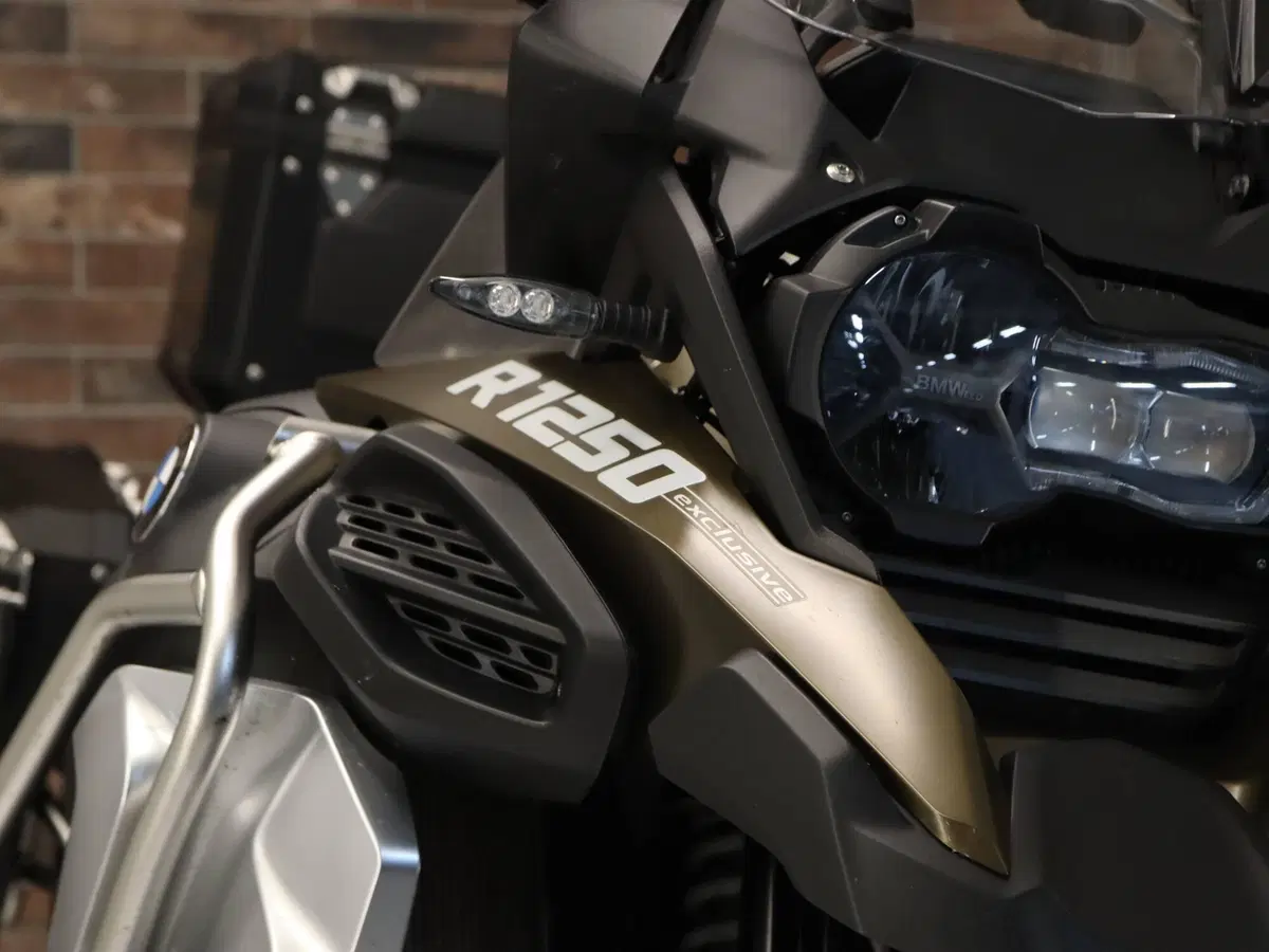 Bmw R 1250 GS Adventure (2019 - 20) (15)