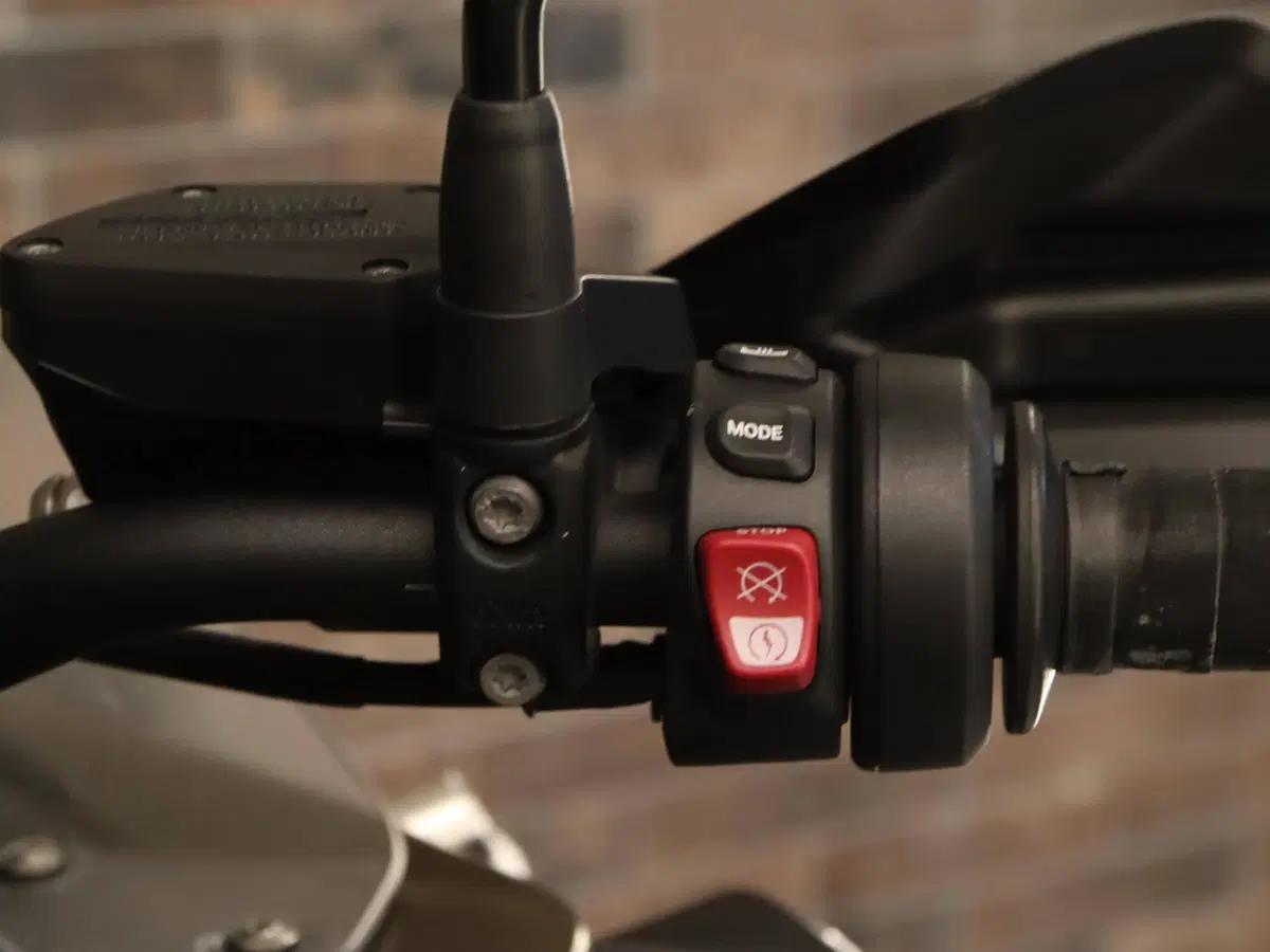 Bmw R 1250 GS Adventure (2019 - 20) (17)