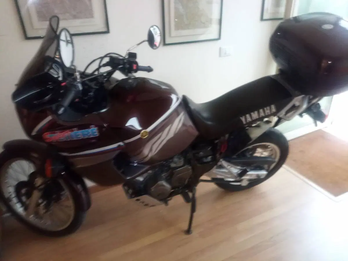 Yamaha XTZ 750 SuperTéneré (1989 - 98) (5)
