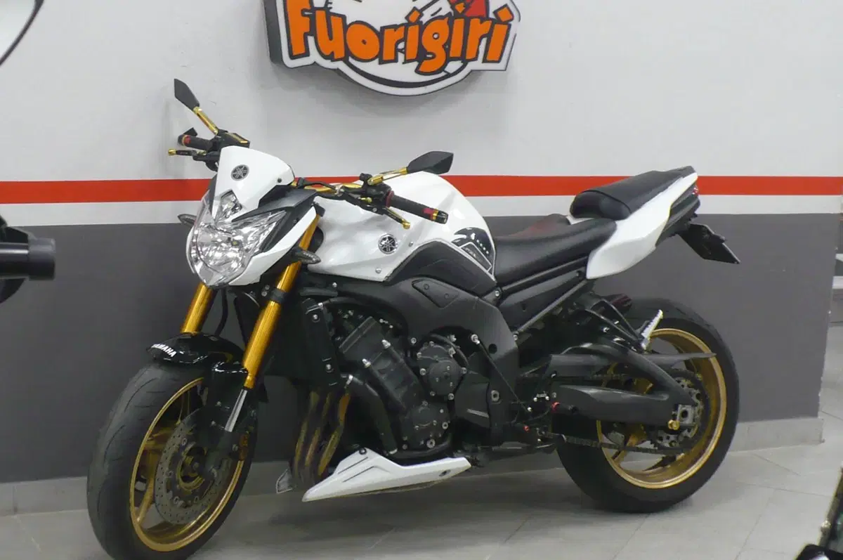 Yamaha FZ8 (2010 - 12) (3)