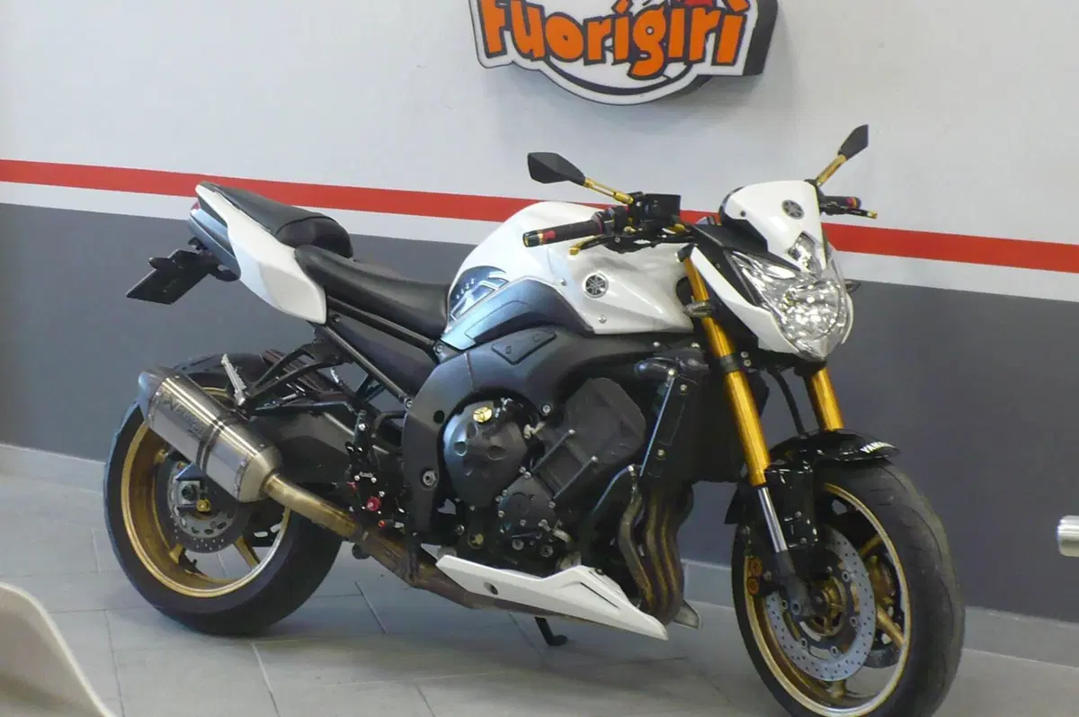 Yamaha FZ8 (2010 - 12) (5)
