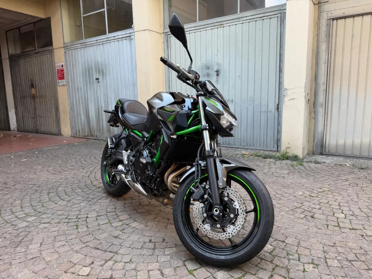 Kawasaki Z 650 Sport (2021 - 24) (2)