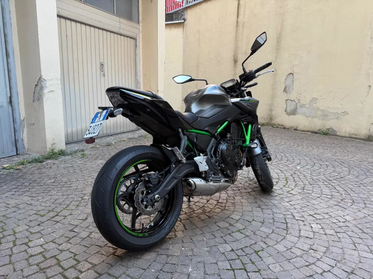 Kawasaki Z 650 Sport (2021 - 24) (3)