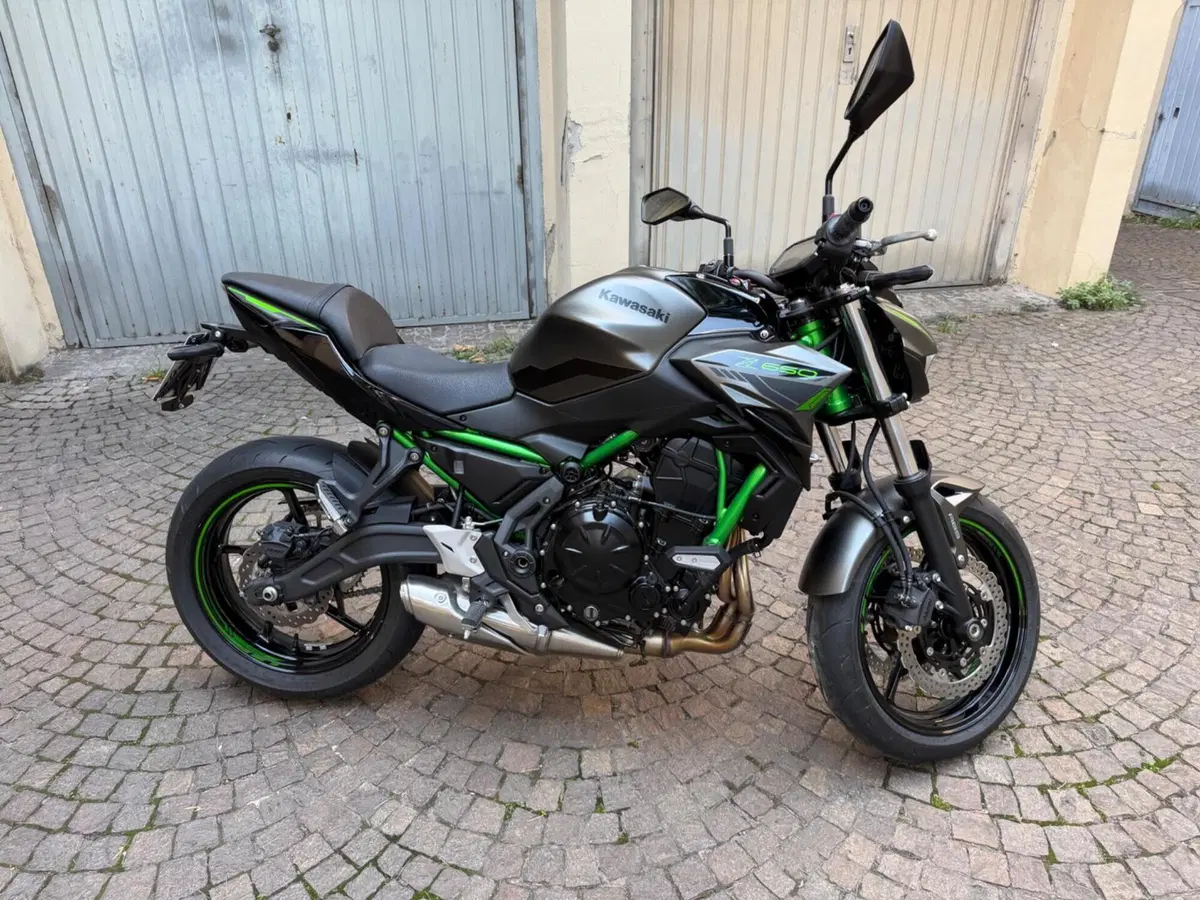 Kawasaki Z 650 Sport (2021 - 24) (4)