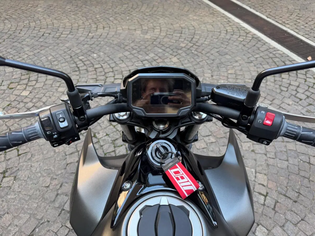 Kawasaki Z 650 Sport (2021 - 24) (6)