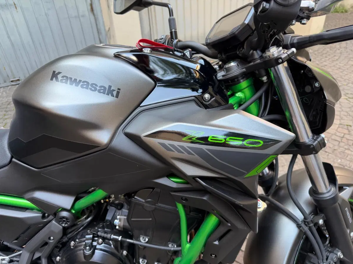 Kawasaki Z 650 Sport (2021 - 24) (9)