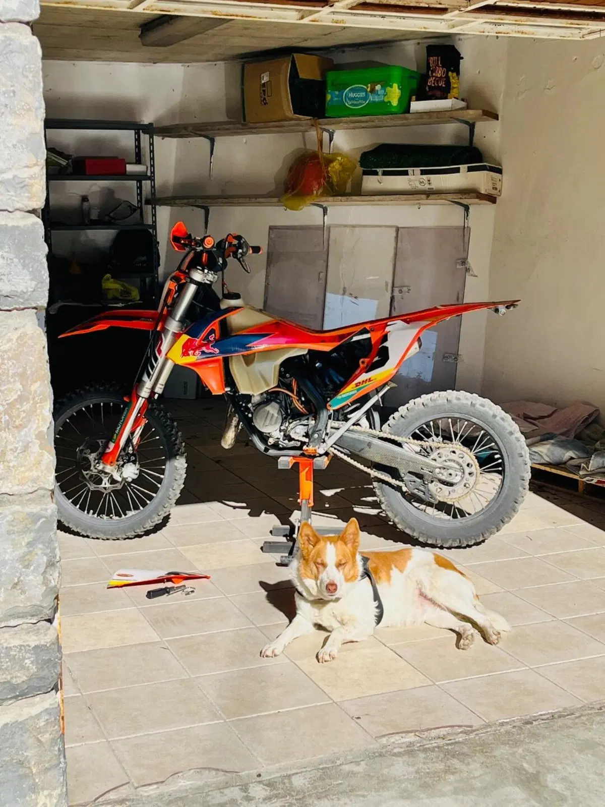 KTM 125 XC-W (2018) (5)
