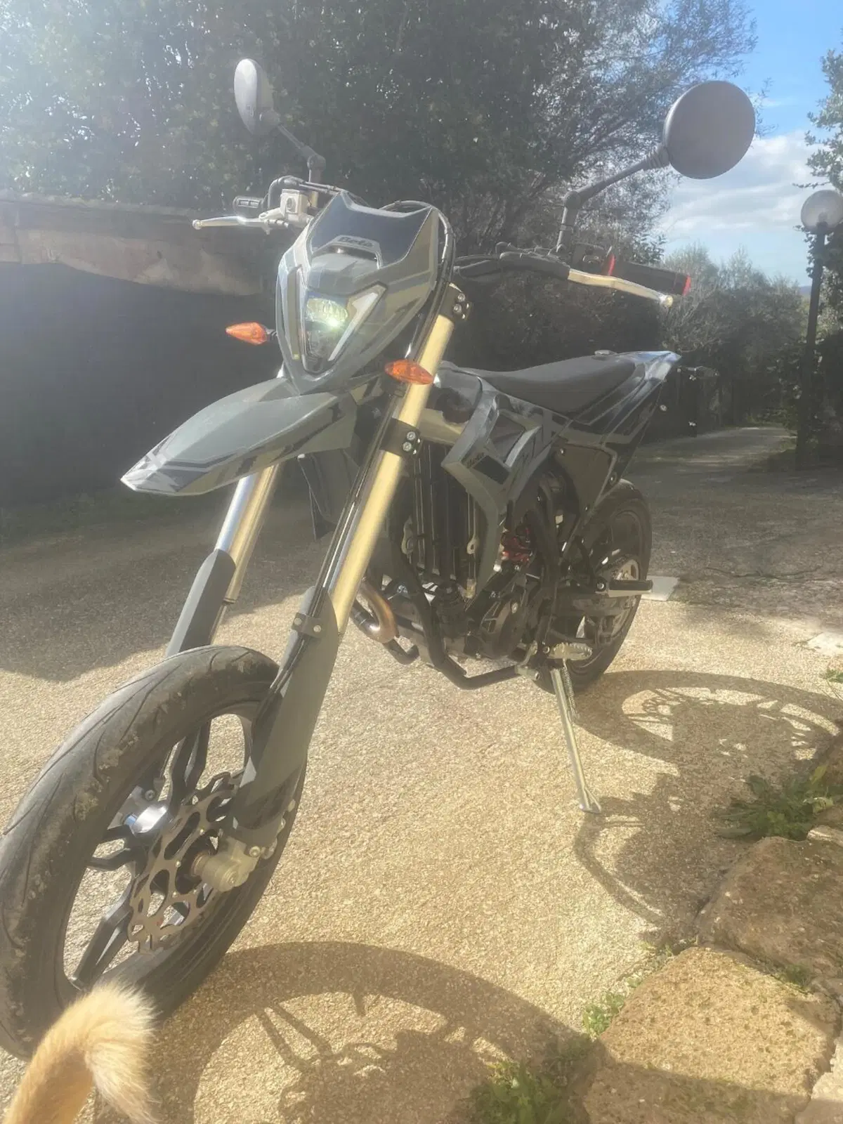 Betamotor RR 125 4T Motard T - X Special Edition (2025 - 26) (8)