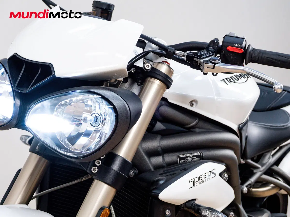 Triumph Speed Triple 1050 S ABS (2016 - 17) (14)