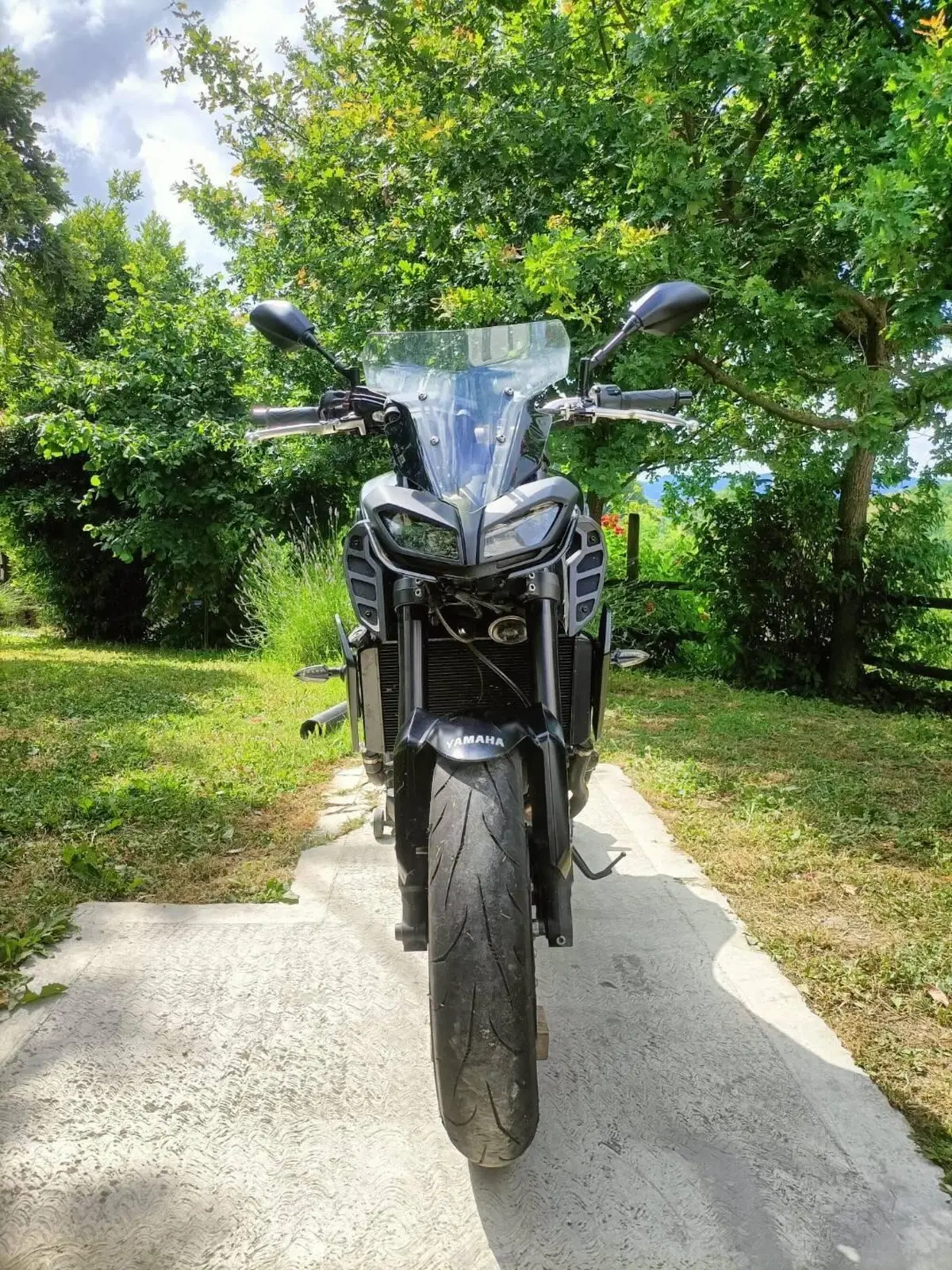 Yamaha MT-09 (2017 - 20) (5)