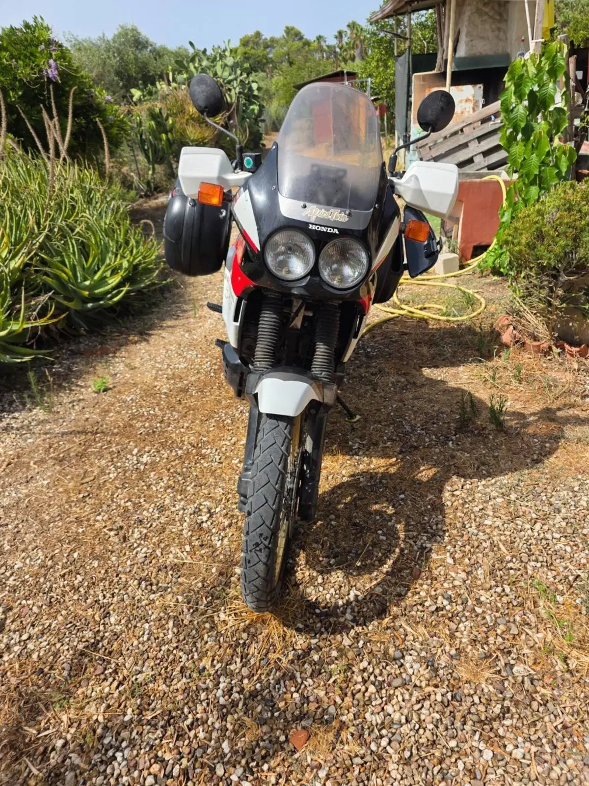 Honda Africa Twin xrv 750 (3)