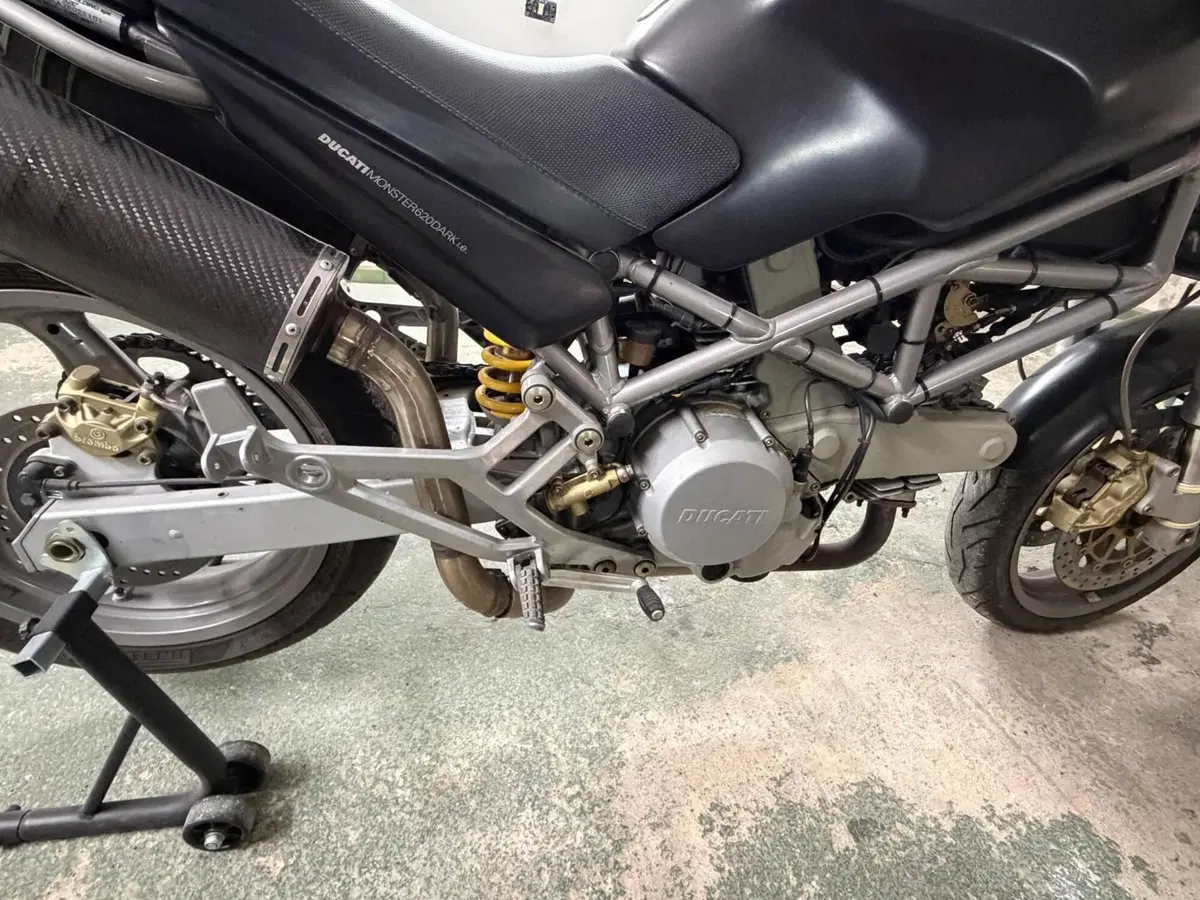 Ducati Monster 620 Dark SD (2003 - 05) (7)