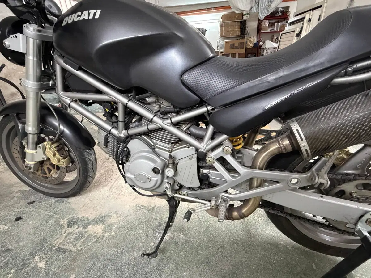 Ducati Monster 620 Dark SD (2003 - 05) (8)