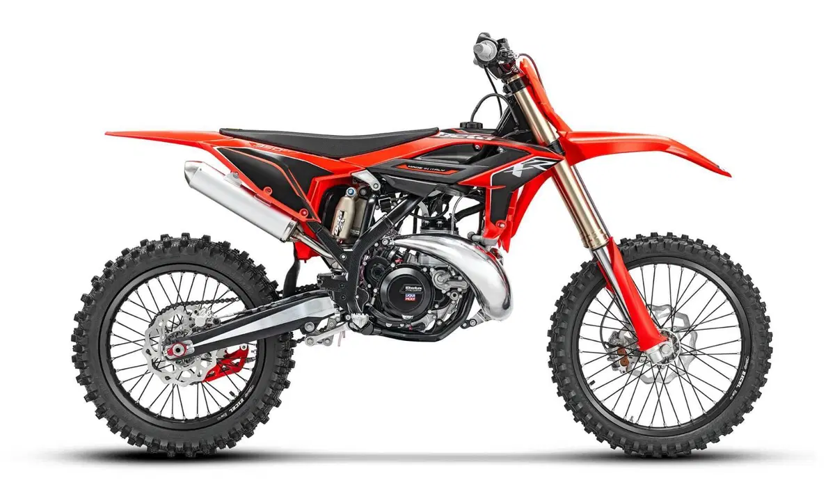 Betamotor RX 350 2T (2027) (2)
