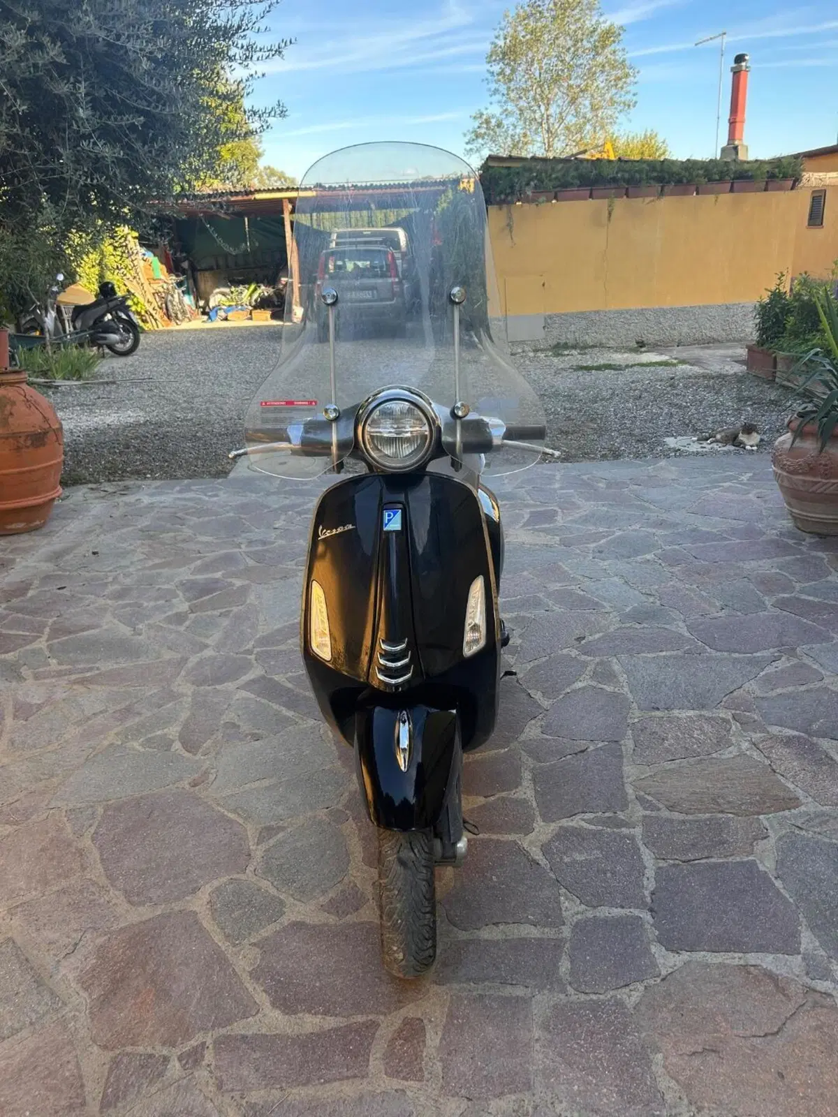Vespa Primavera 125 (2021 - 23) (4)