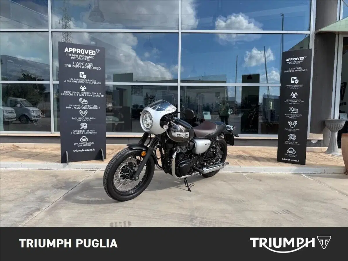 Kawasaki W 800 Street (2019 - 20) (3)