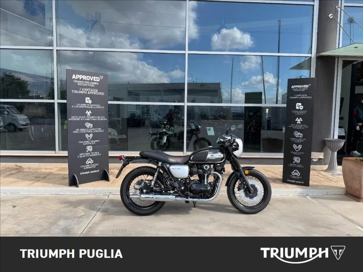 Kawasaki W 800 Street (2019 - 20) (4)