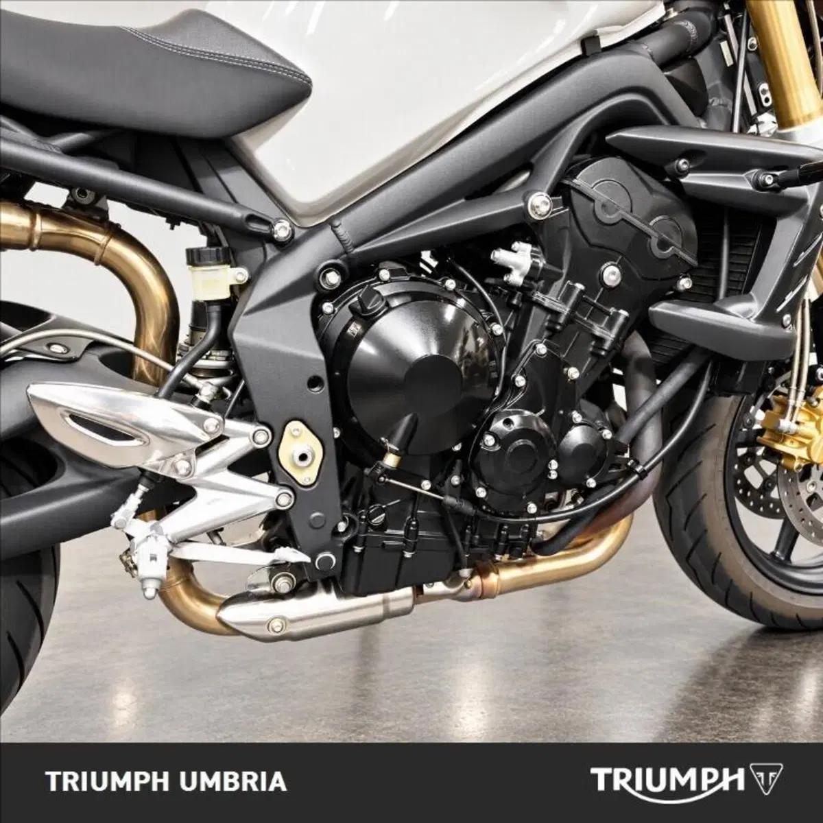 Triumph Street Triple (2007 - 12) (3)