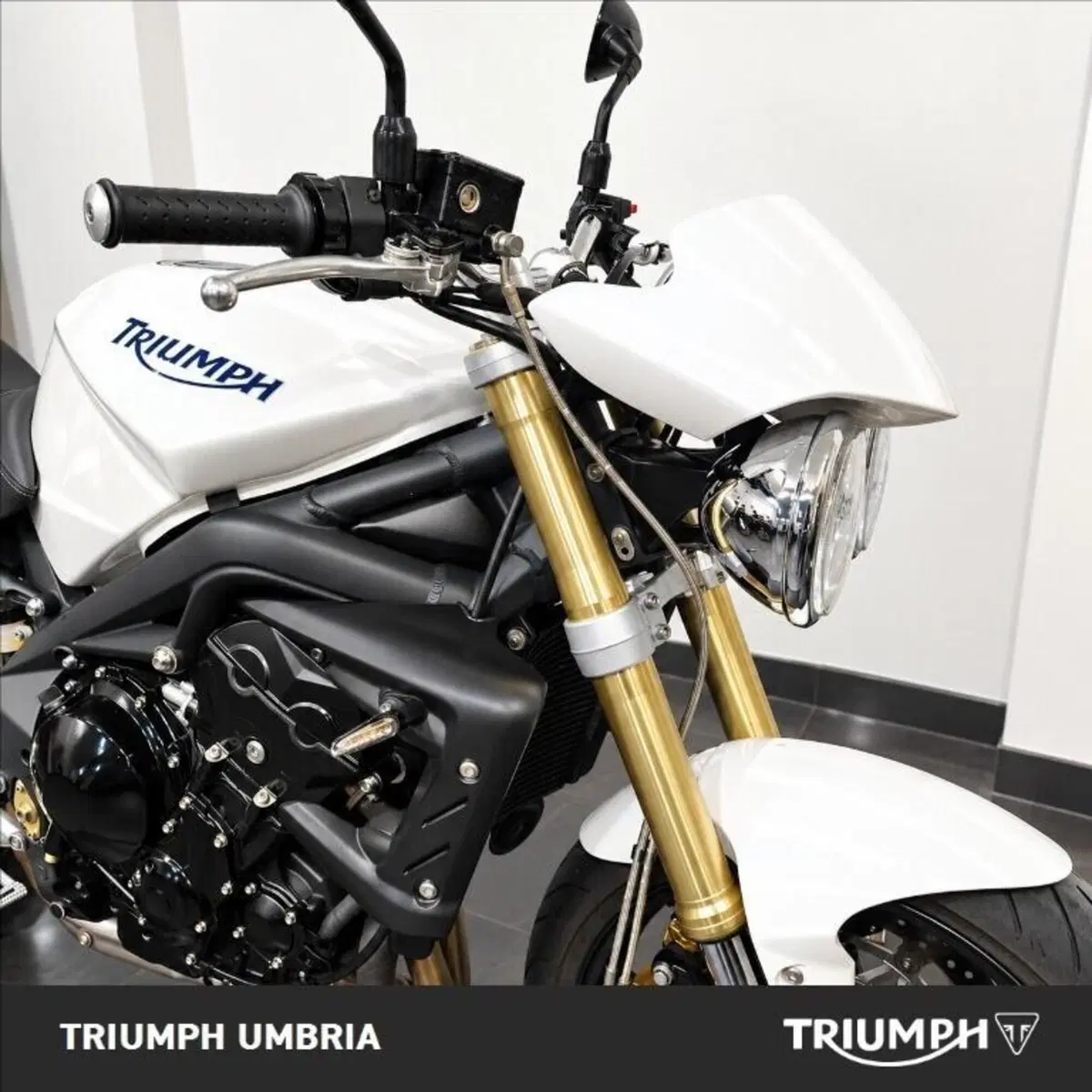 Triumph Street Triple (2007 - 12) (7)