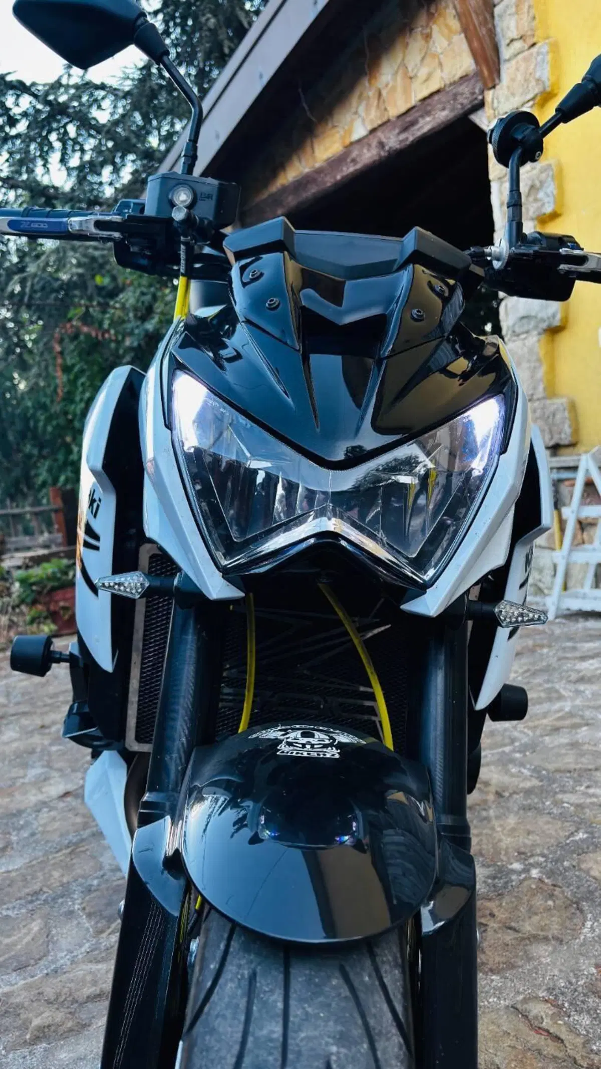 Kawasaki Z 800 e (2012 - 13) (4)