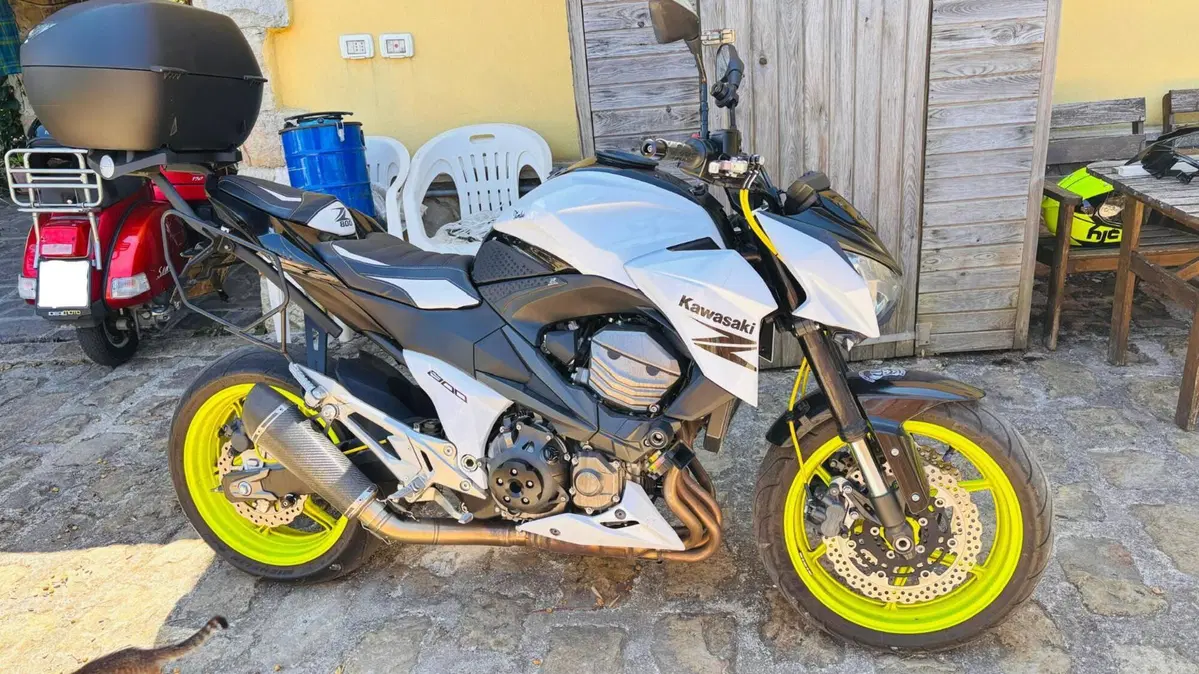 Kawasaki Z 800 e (2012 - 13) (2)