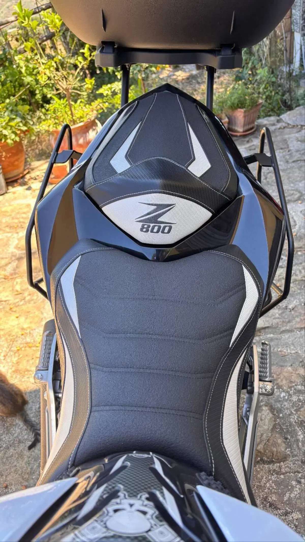 Kawasaki Z 800 e (2012 - 13) (10)