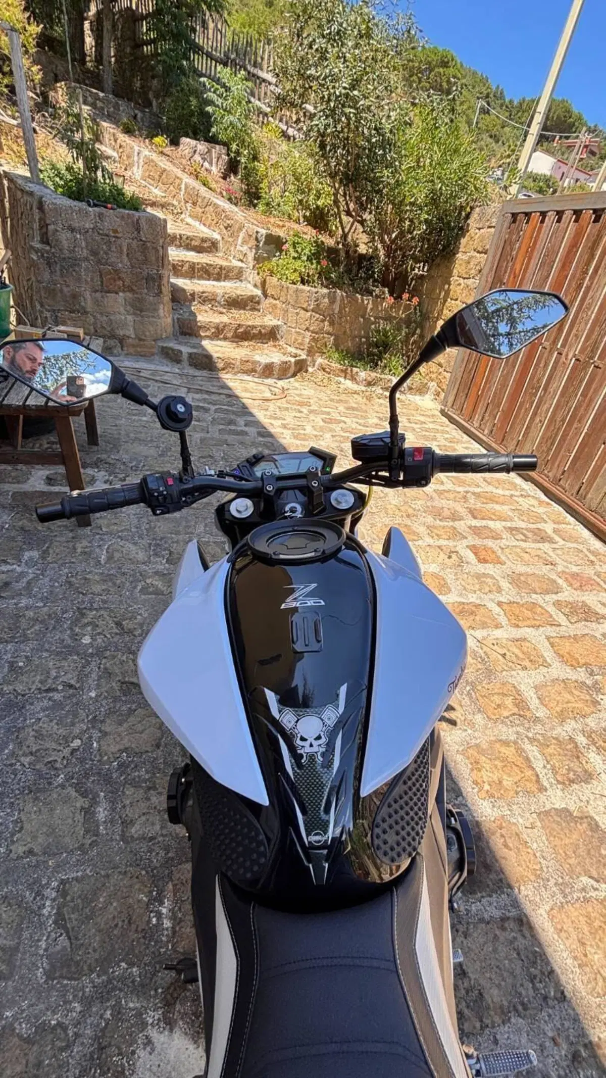 Kawasaki Z 800 e (2012 - 13) (11)