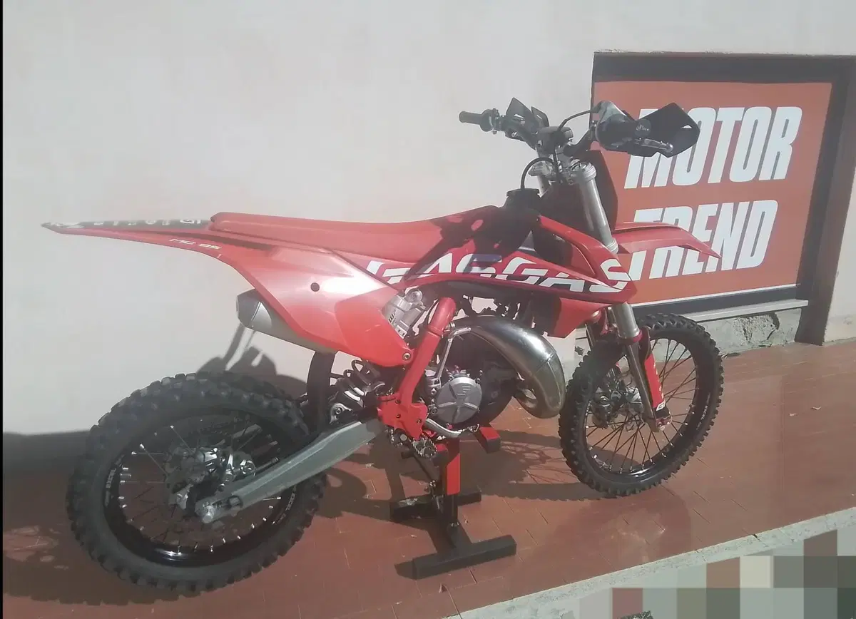 GASGAS MC 85 (2023 - 24) (6)
