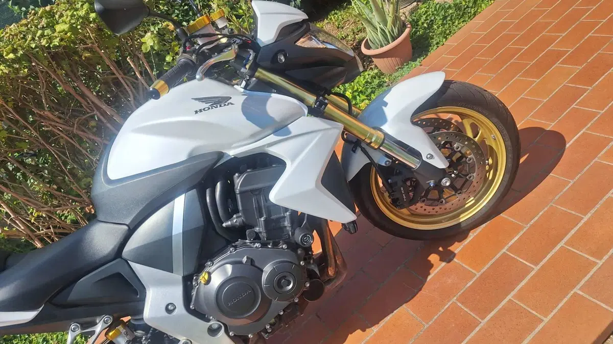 Honda CB 1000 R (2011 - 14) (3)