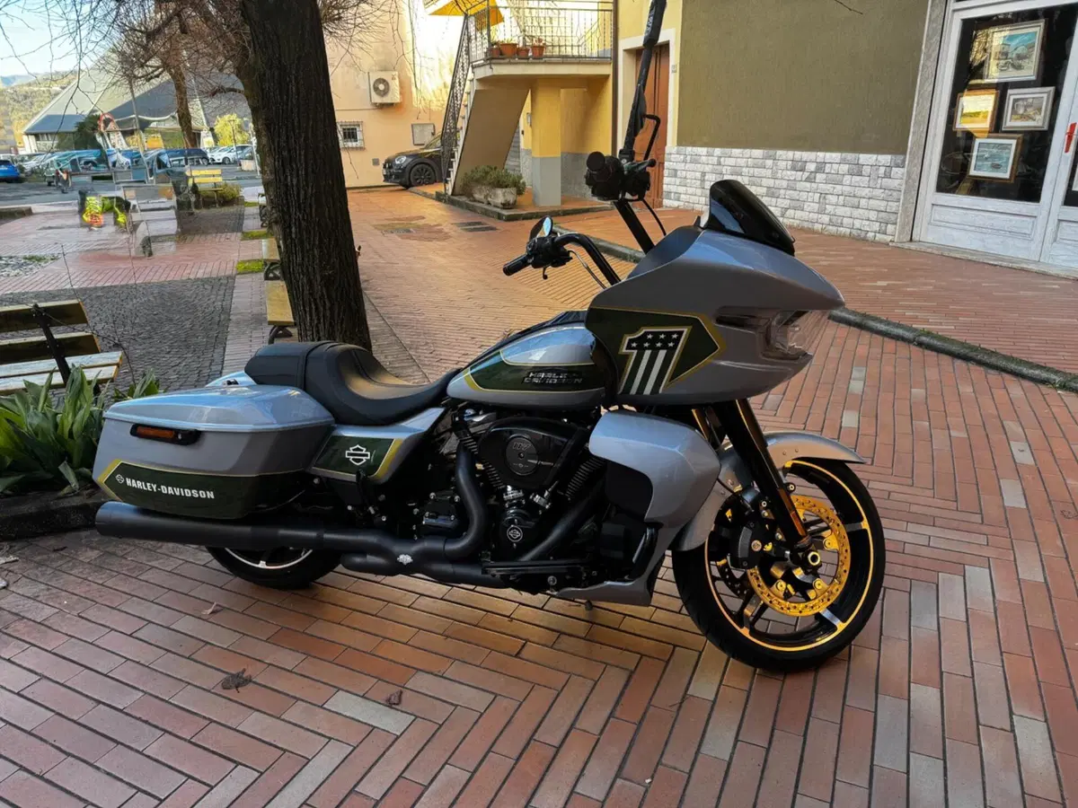 Harley-Davidson Road Glide (2024 - 26) (2)