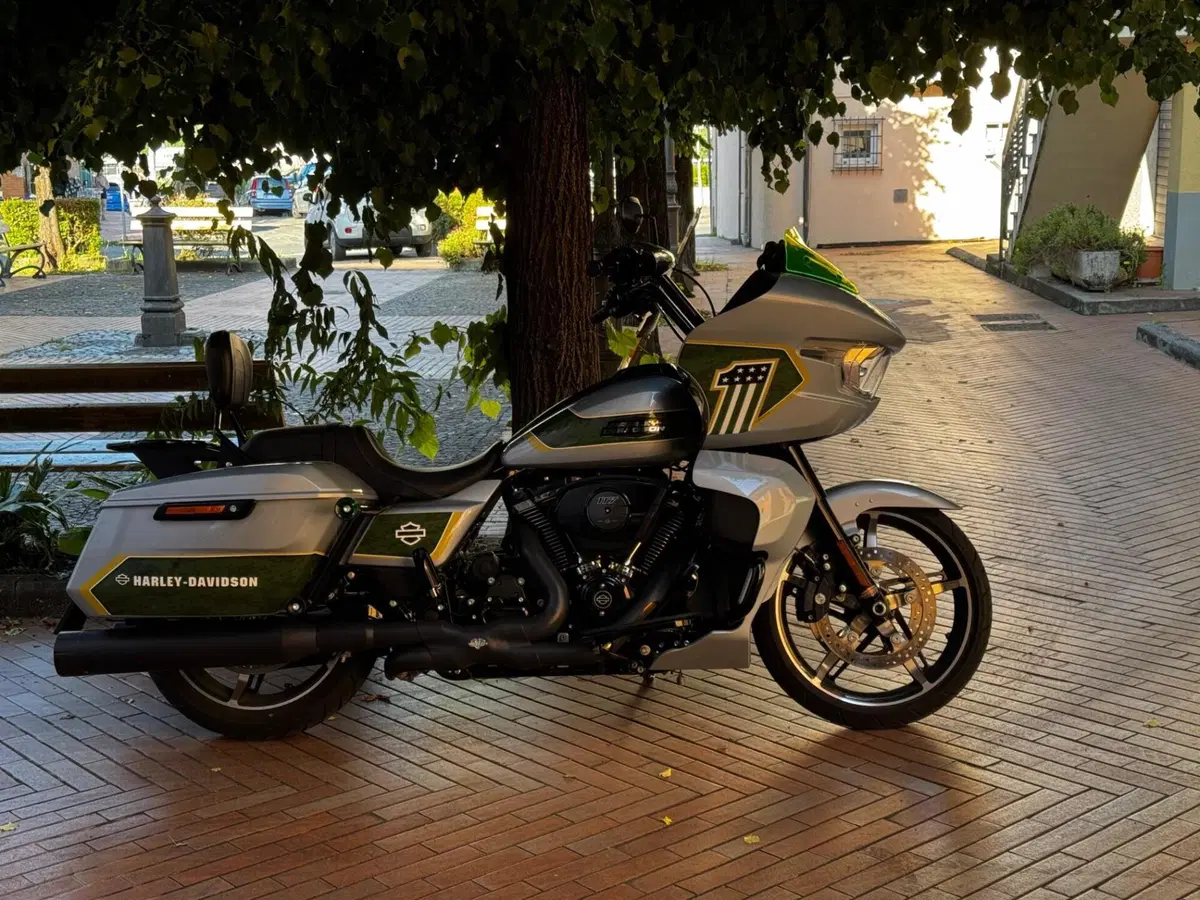 Harley-Davidson Road Glide (2024 - 26) (6)