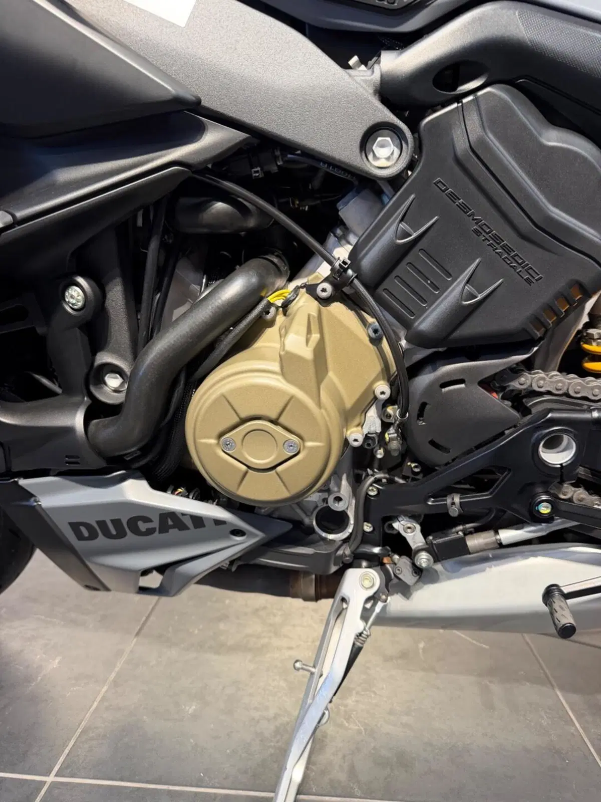 Ducati Streetfighter V4 S (2023 - 24) (11)