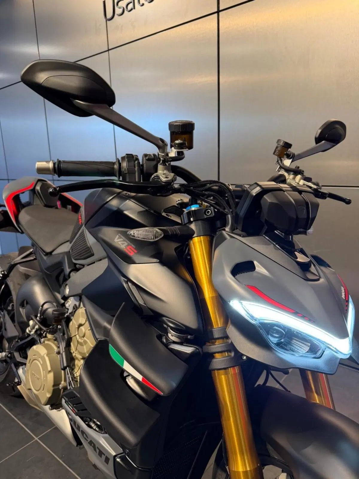 Ducati Streetfighter V4 S (2023 - 24) (7)