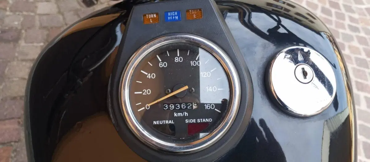 Suzuki SAVAGE 650 (8)