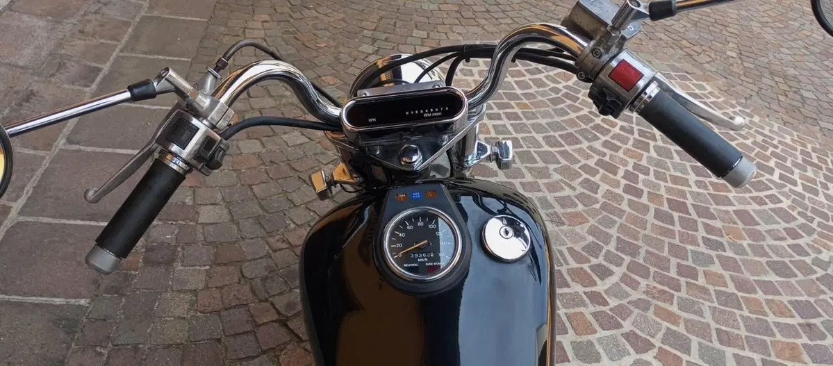 Suzuki SAVAGE 650 (15)