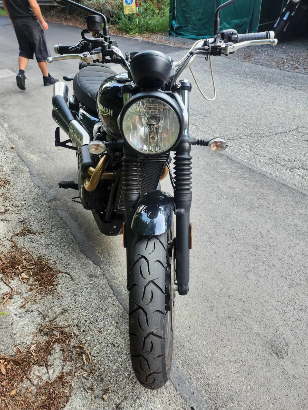 Triumph Scrambler (2006 - 17) (2)
