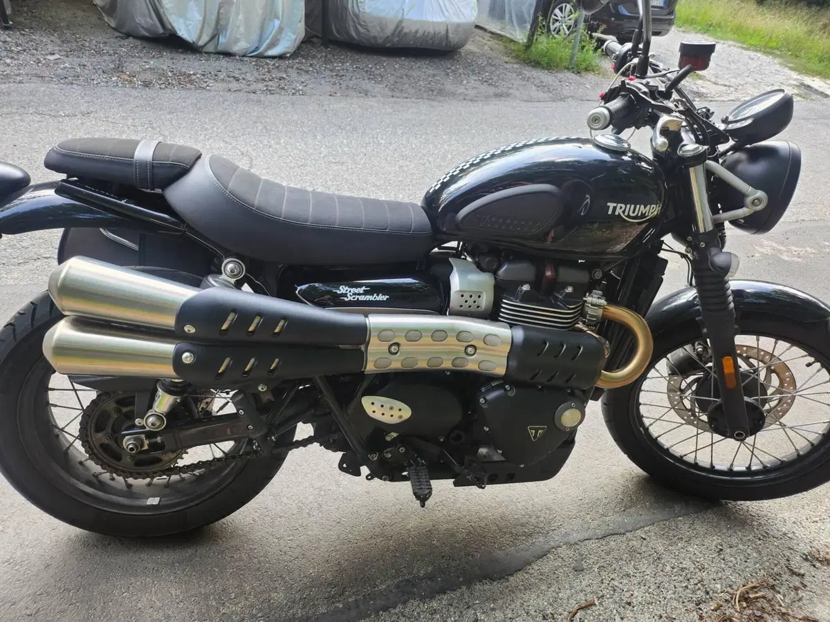 Triumph Scrambler (2006 - 17) (7)
