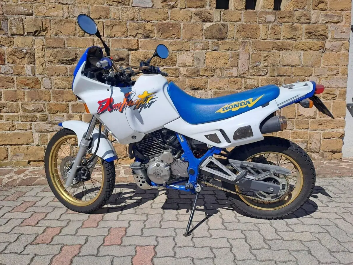Honda DOMINATOR NX  (2)