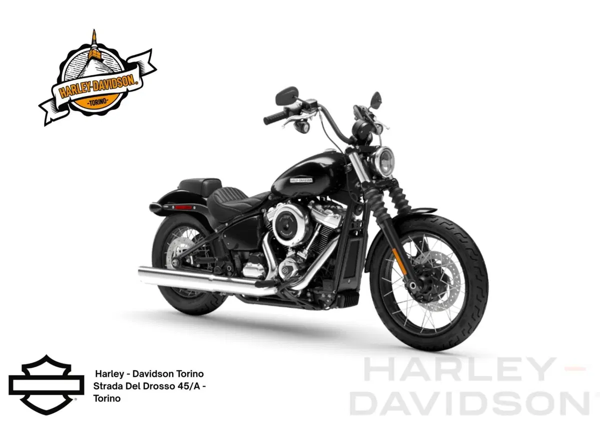 Harley-Davidson Street Bob 117 (2025 - 26)
