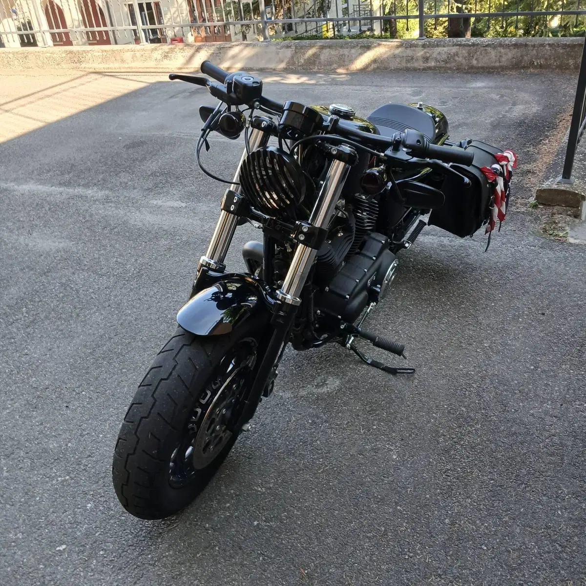 Harley-Davidson 1200 Forty-Eight (2016 - 20) (4)