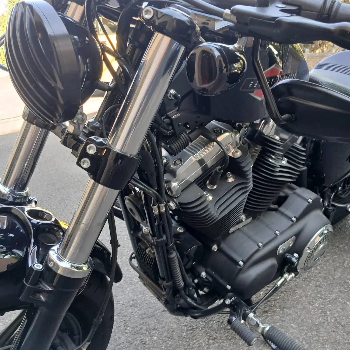 Harley-Davidson 1200 Forty-Eight (2016 - 20) (9)