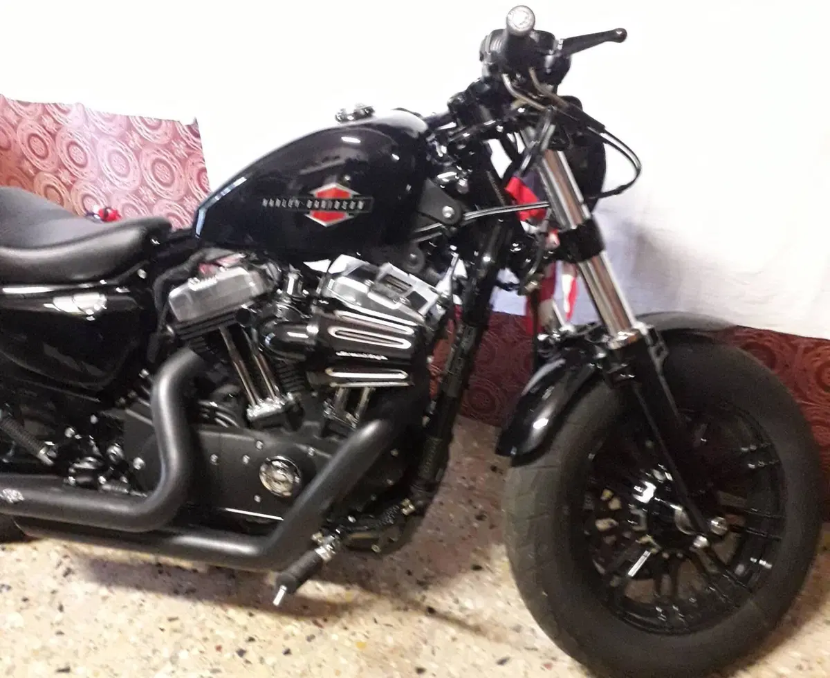 Harley-Davidson 1200 Forty-Eight (2016 - 20) (10)