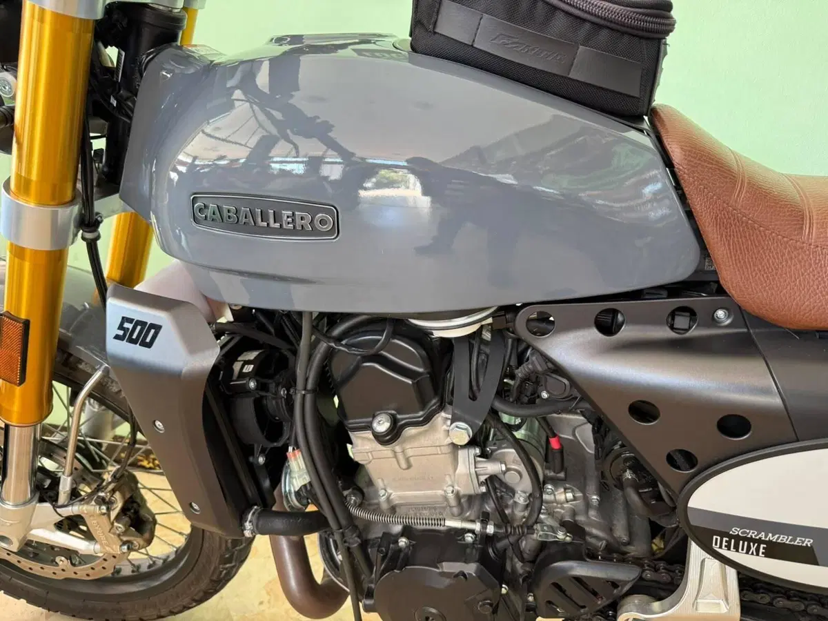 Fantic Motor Caballero 500 Scrambler Deluxe (2021 - 23) (7)