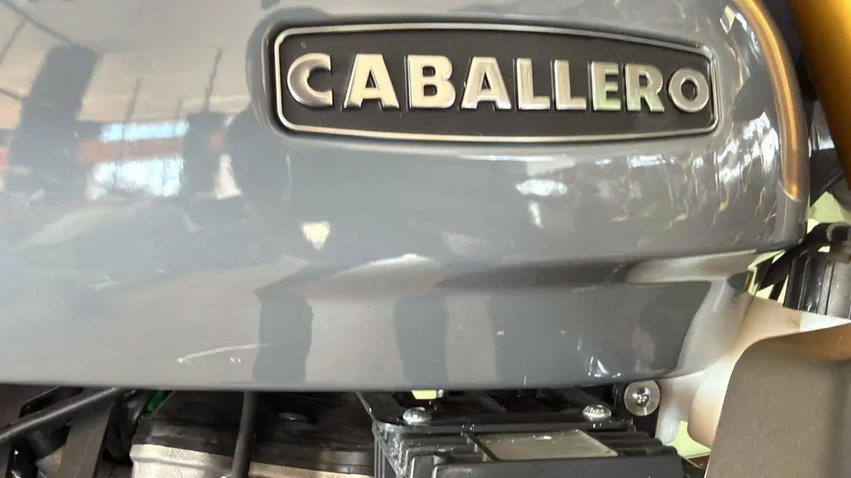 Fantic Motor Caballero 500 Scrambler Deluxe (2021 - 23) (11)
