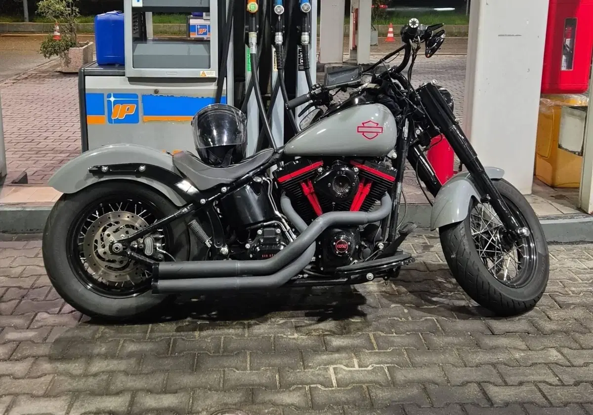 Harley-Davidson 1690 Slim (2011 - 16) - FLS (2)
