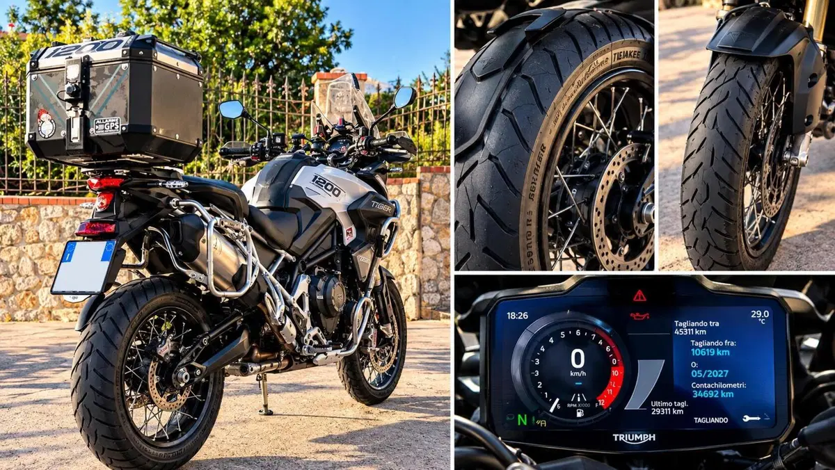 Triumph Tiger 1200 Rally Explorer (2024 - 26) (3)