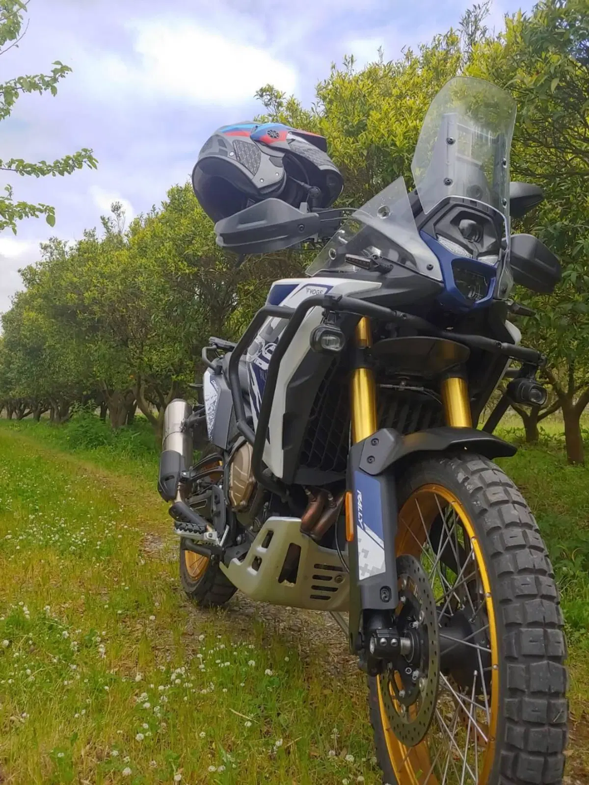 Voge Valico 800DSX Rally (2025 - 26) (2)