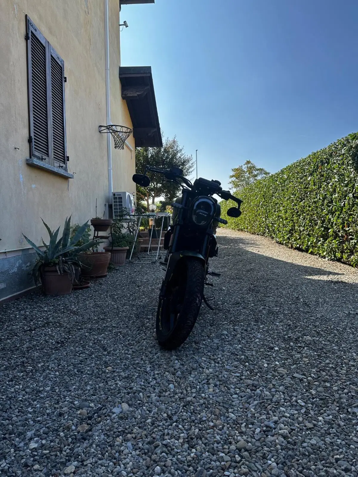 Benelli Leoncino 125 (2022 - 25) (5)