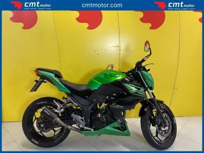 Kawasaki Z 300 ABS (2015 - 16) usata