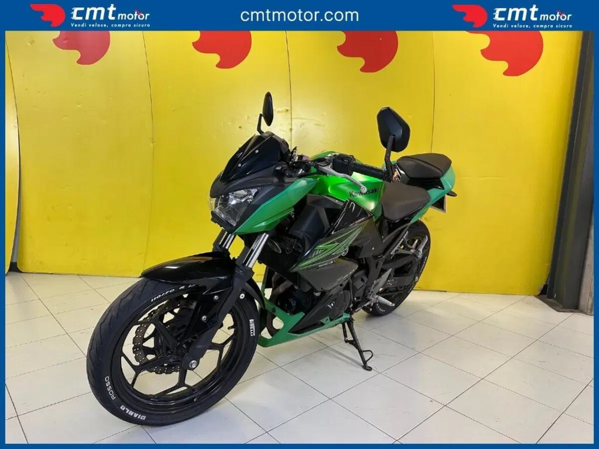 Kawasaki Z 300 ABS (2015 - 16) (2)